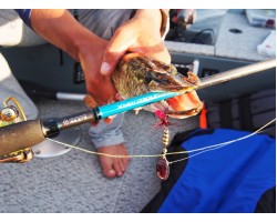 Сергей Романов - обзор Flagman Thunder Max 762ML 2.28м 4 -20г