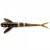Приманка FISHUP Flit 3" (8шт.), #043 - Watermelon Brown/Black